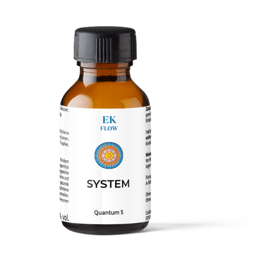 Quantum 5